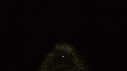 Busch-mueller Lumotec IQ Avy N Plus LED Frontlicht Mit StVZO-Zulassung -Bike Teile Verkauf 231802