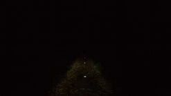 Busch-mueller UPP T Senso Plus LED Frontlicht Mit StVZO-Zulassung -Bike Teile Verkauf 231823