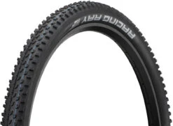 Schwalbe Racing Ray Evolution ADDIX SpeedGrip Super Ground 29" Faltreifen 9 Schwalbe Racing Ray Evolution ADDIX SpeedGrip Super Ground 29" Faltreifen -Bike Teile Verkauf 346236