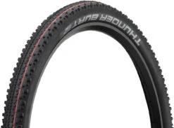 Schwalbe Thunder Burt Evolution ADDIX Speed Super Ground 29" Faltreifen -Bike Teile Verkauf 346250