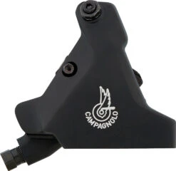 Campagnolo® Record Scheibenbremse 12s Hydr. Ergopower Schalt-/Bremsgriff 2021 -Bike Teile Verkauf 422634